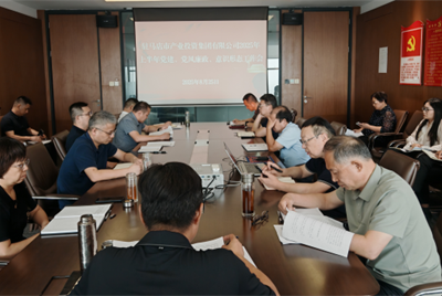 驻马店市产业投资集团有限公司召开2025年<br>上半年党建 党风廉政 意识形态工作会